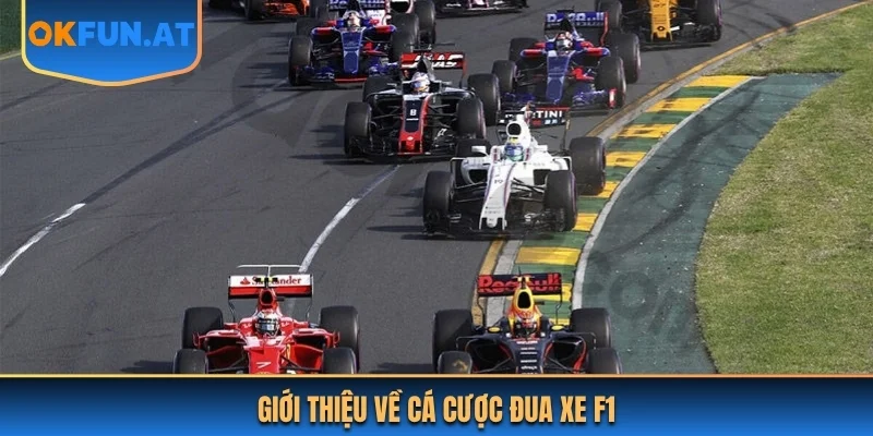 Giới thiệu về cá cược đua xe F1